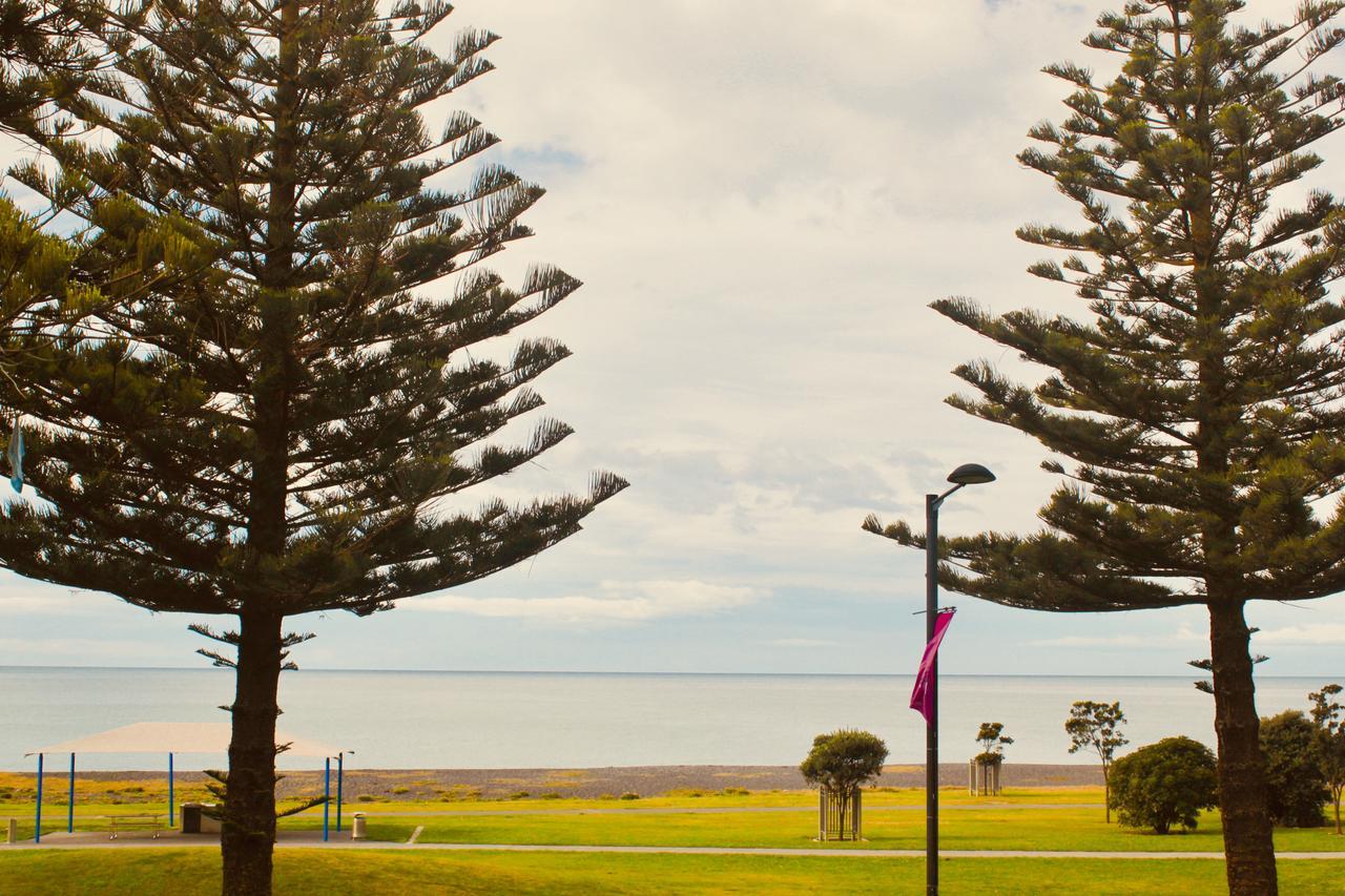 Hotel The Nautilus Napier Esterno foto View of the bay from the foreshore