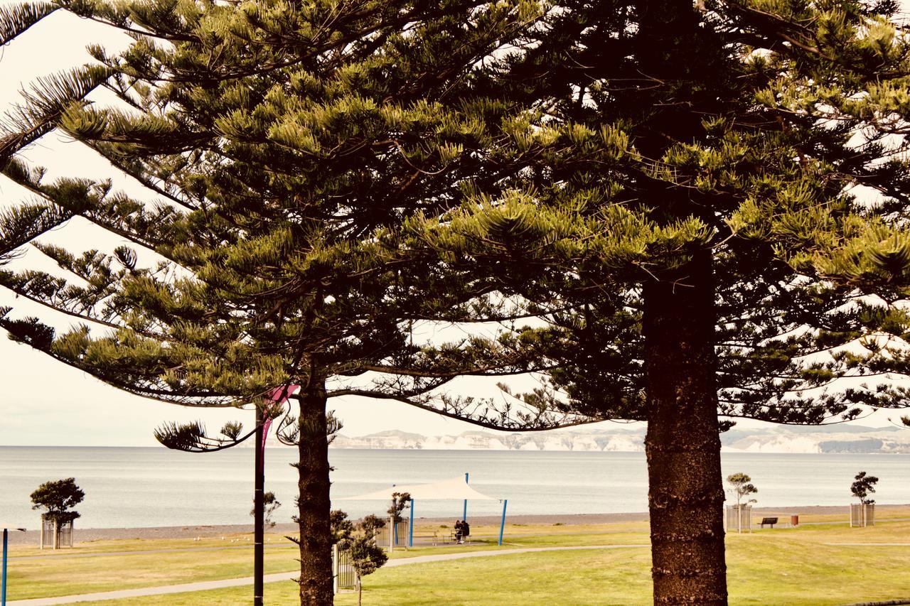 Hotel The Nautilus Napier Esterno foto View of the bay from the foreshore