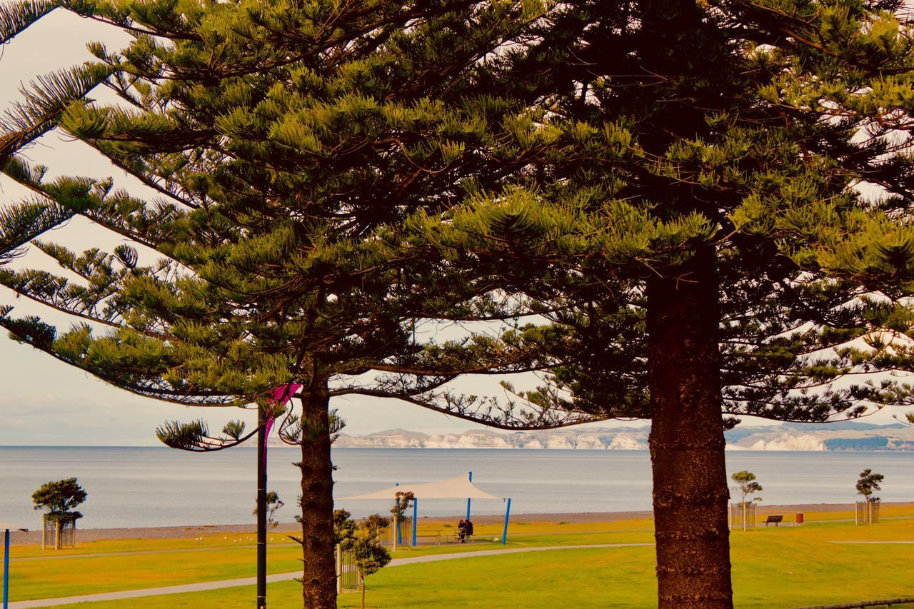 Hotel The Nautilus Napier Esterno foto View of the bay from the foreshore
